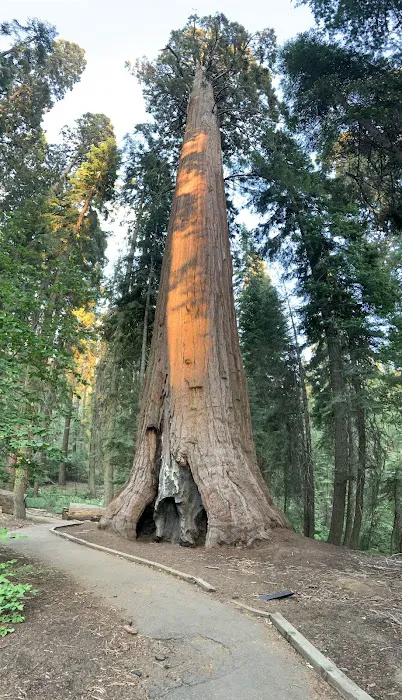 Upper Dinkey Creek Campground 2