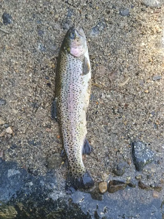 Dinkey Creek Campground 3