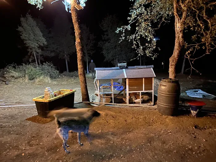 Camp ikigai Animal Sanctuary 501c3 1