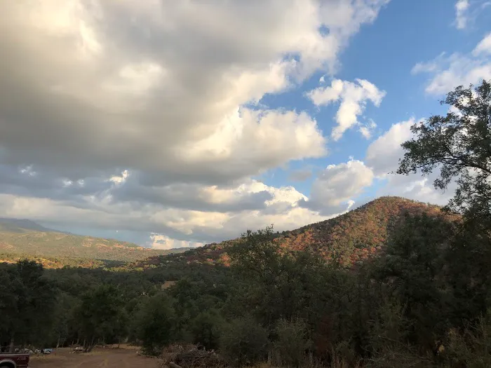 Camp ikigai Animal Sanctuary 501c3 7