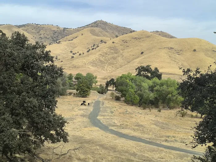 The Mountain Chapel Campground 6