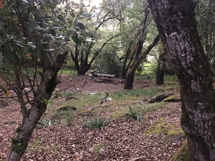 Spring Lake Park Group Campground 3