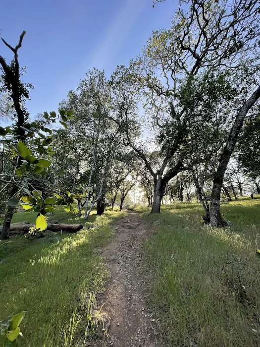 Spring Lake Park Group Campground 2