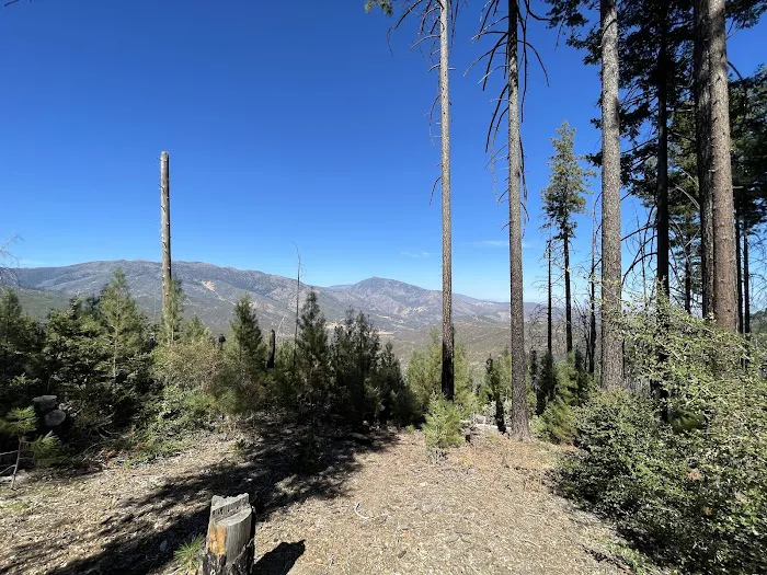 Old Mill Campground 1