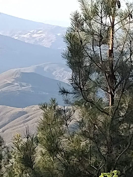 Old Mill Campground 5