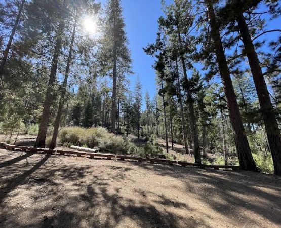 Old Mill Campground