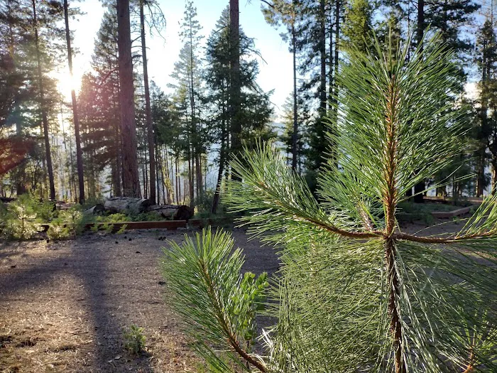 Old Mill Campground 6
