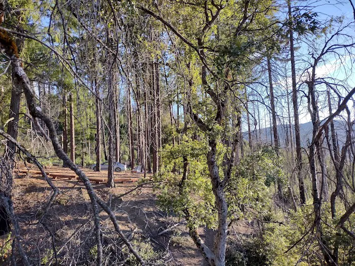 Old Mill Campground 8