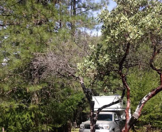 Dixie Glade Campground