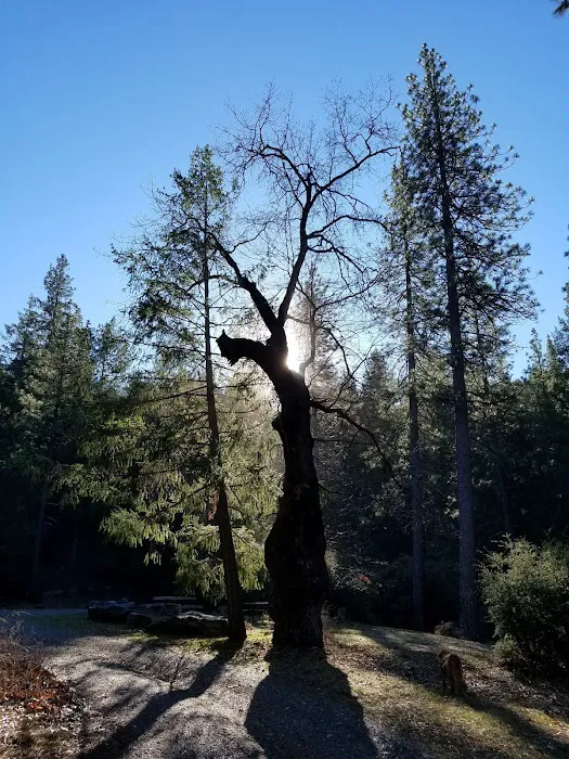 Dixie Glade Campground 7