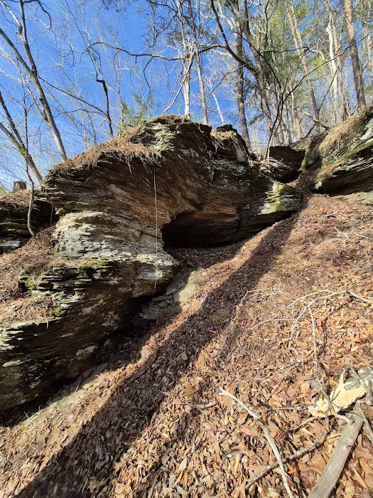 Burchfield Branch Park 6