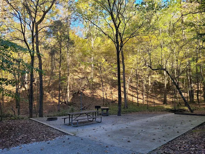 Burchfield Branch Park 3
