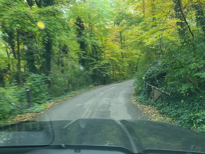 Burchfield Branch Park 7
