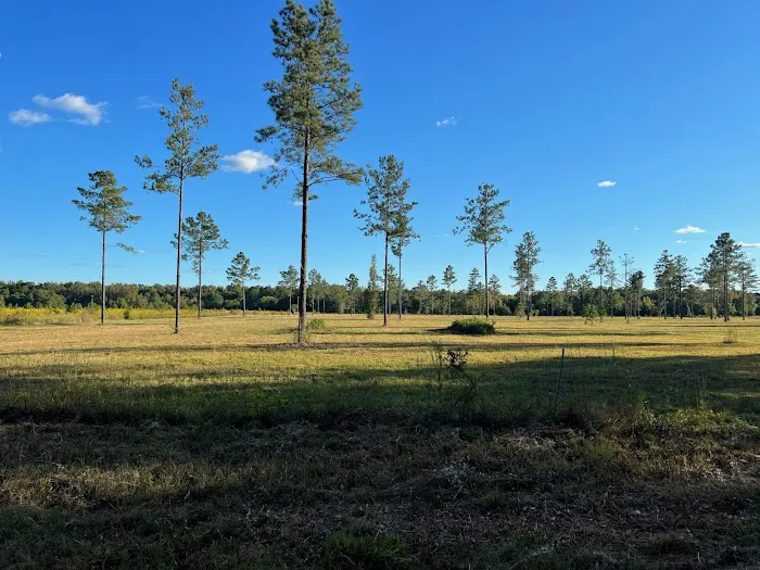 farmcamp glampground 9