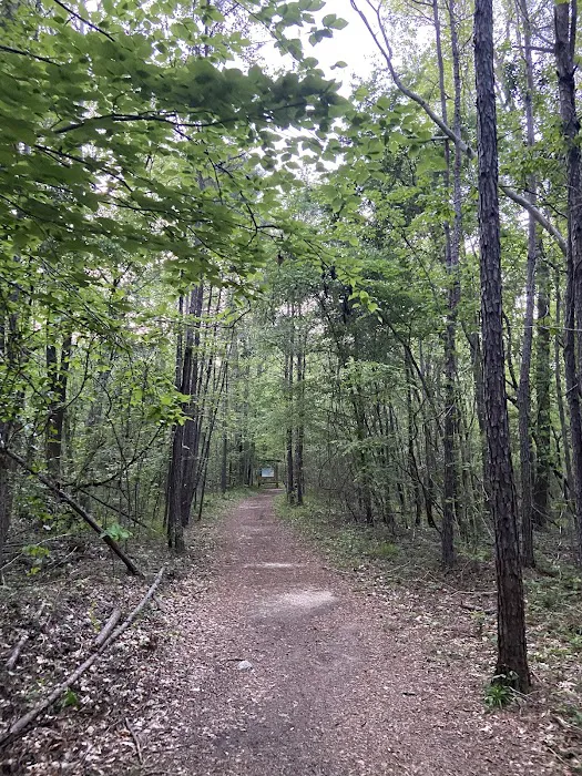 Swayback Campground 5
