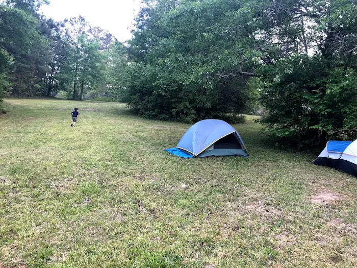 Swayback Campground 6