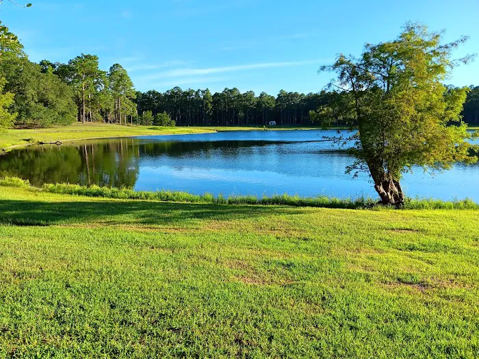 Conecuh National Forest Open Pond Recreation Area 0
