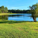 Conecuh National Forest Open Pond Recreation Area