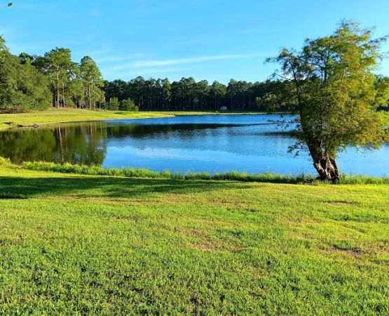 Conecuh National Forest Open Pond Recreation Area