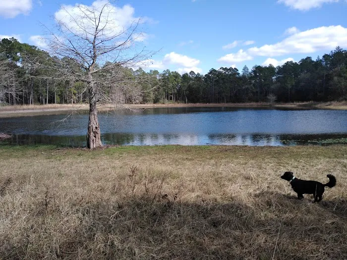 Conecuh National Forest Open Pond Recreation Area 1