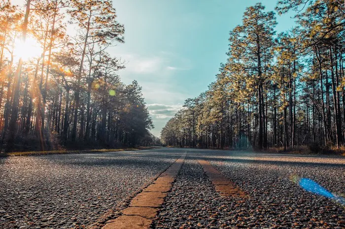 Conecuh National Forest Open Pond Recreation Area 2