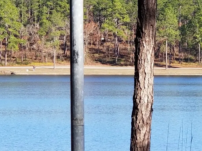 Conecuh National Forest Open Pond Recreation Area 6