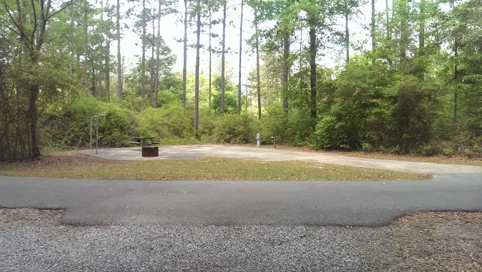 Conecuh National Forest Open Pond Recreation Area 3