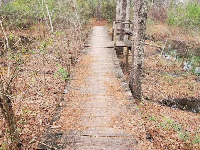 Conecuh National Forest Open Pond Recreation Area 8