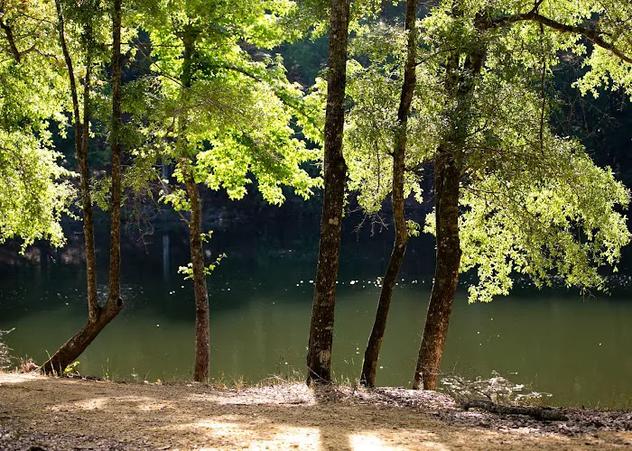 The Oaks Family RV Park & Campground 9