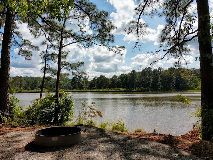 Hardridge Creek 1