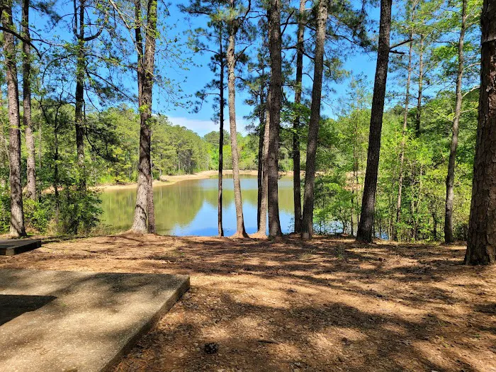 Holiday Campground 7