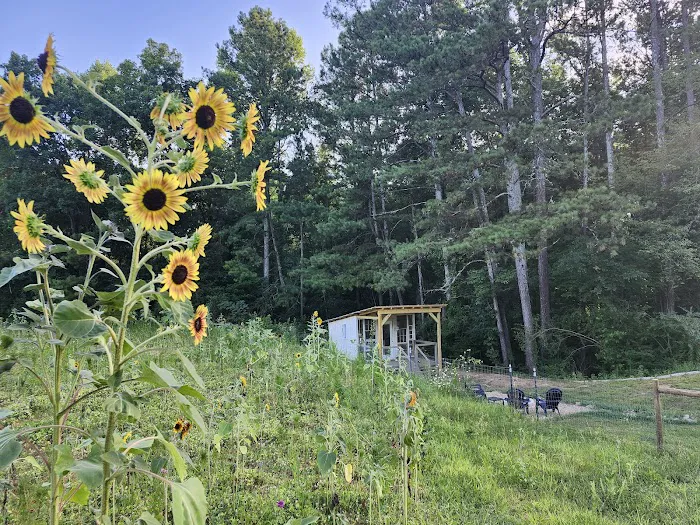 Rolling Ridge Stays & Flower Farm 4