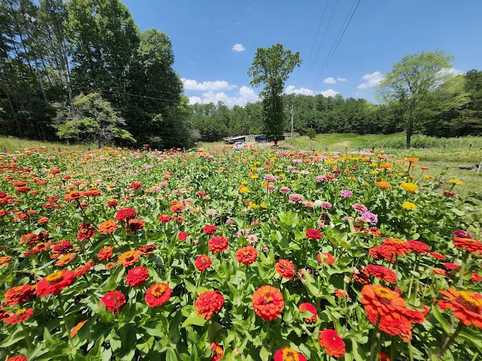 Rolling Ridge Stays & Flower Farm 2