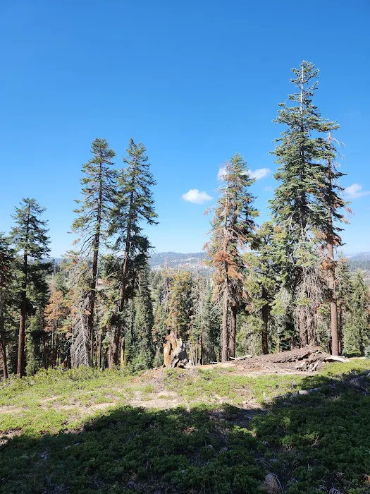 Weaver Lake 0