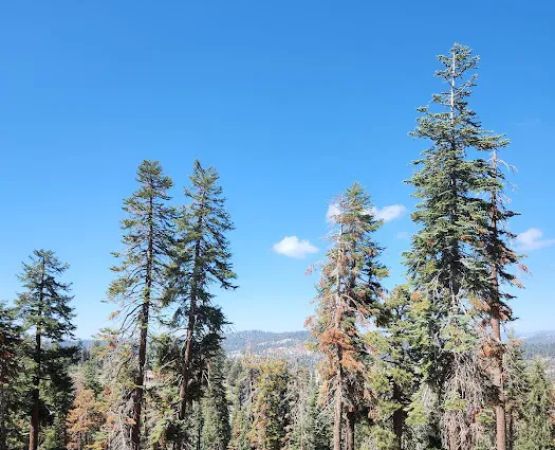 Weaver Lake