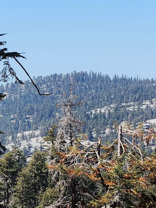 Weaver Lake 6