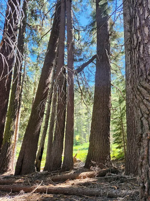 Weaver Lake 7