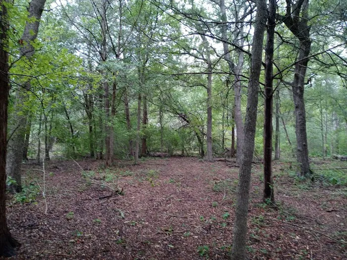 Squawk and Skedaddle Campground 7