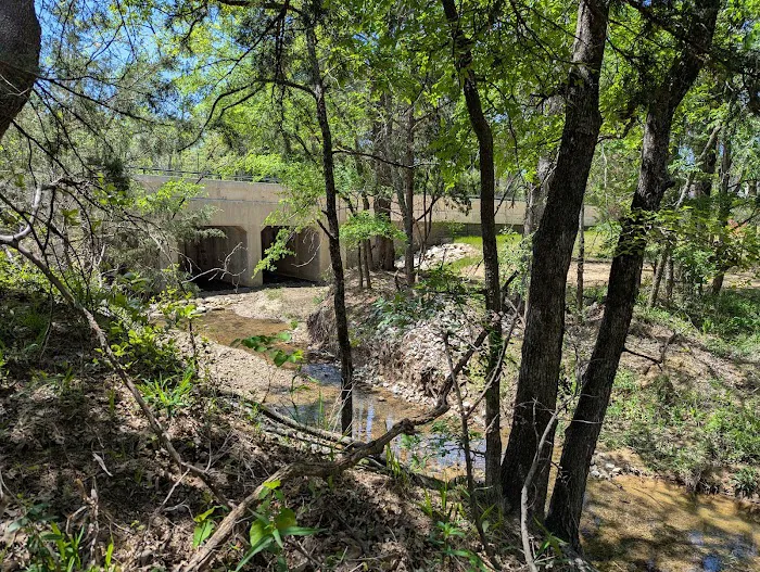 Camp Burnett 4