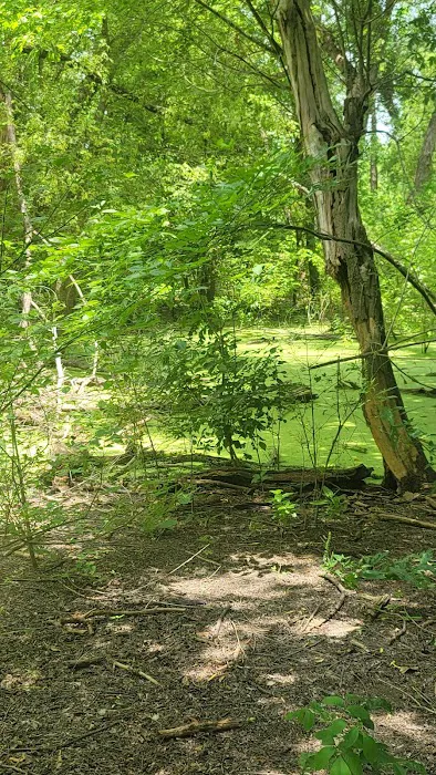 Bear Creek Campground 6