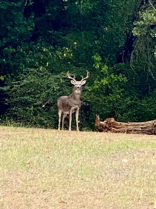 Camp David at Lake Grapevine - HIKIDS Nonprofit Campground 2