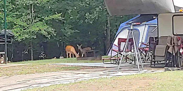 Hickory Creek COE Campground 0
