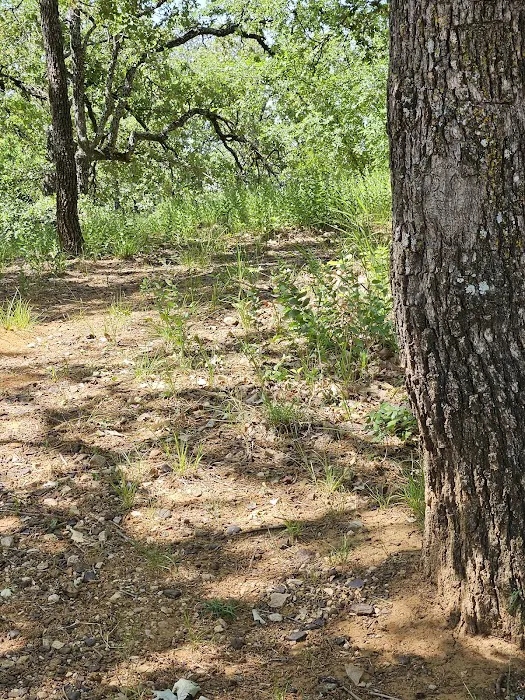 Hickory Creek COE Campground 9