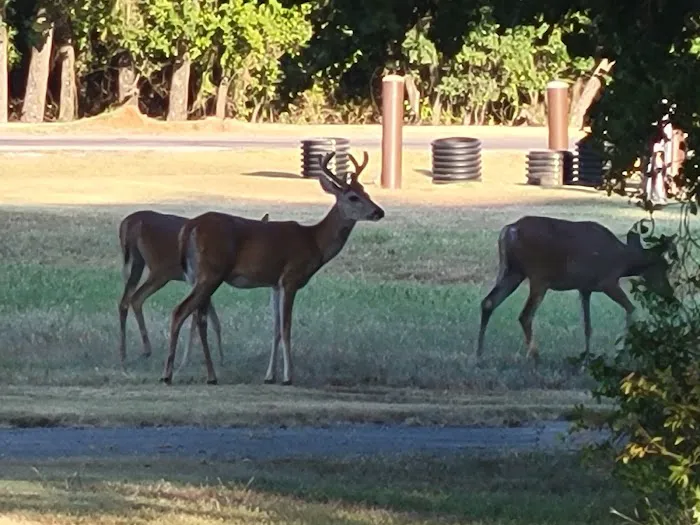 Hickory Creek Campground 6