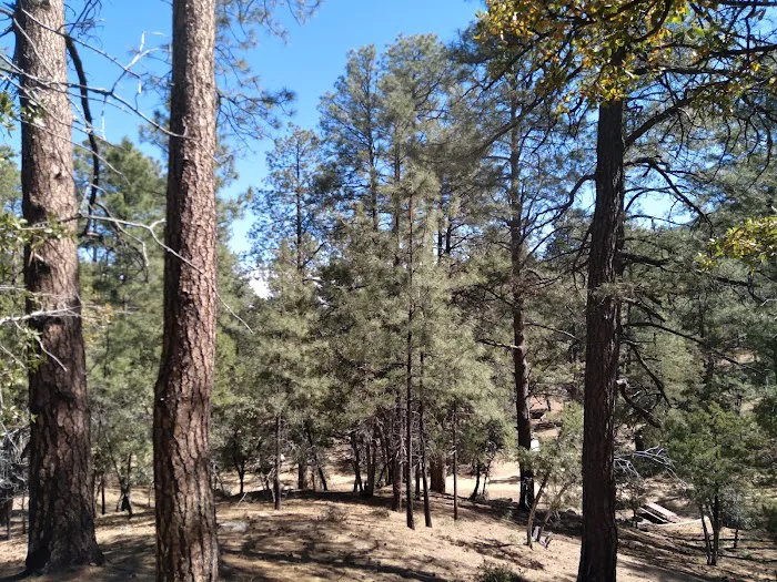 Sulphide Del Ray Campground 1