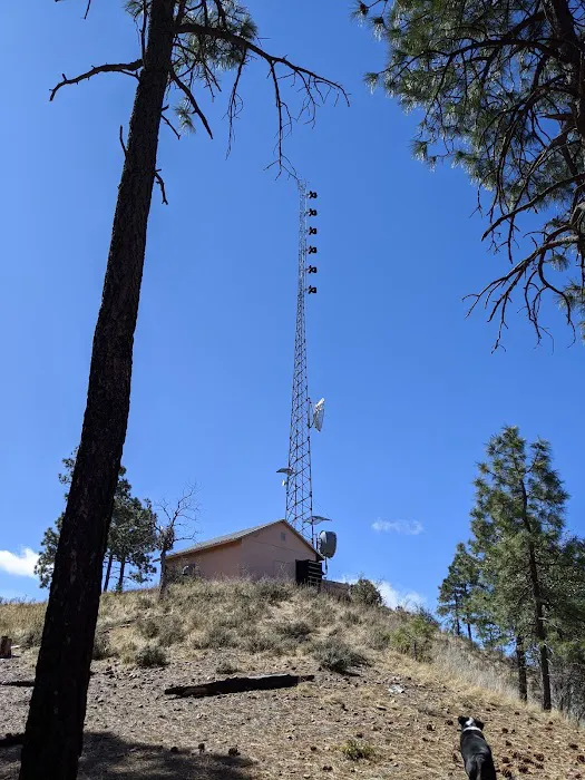 Sulphide Del Ray Campground 6