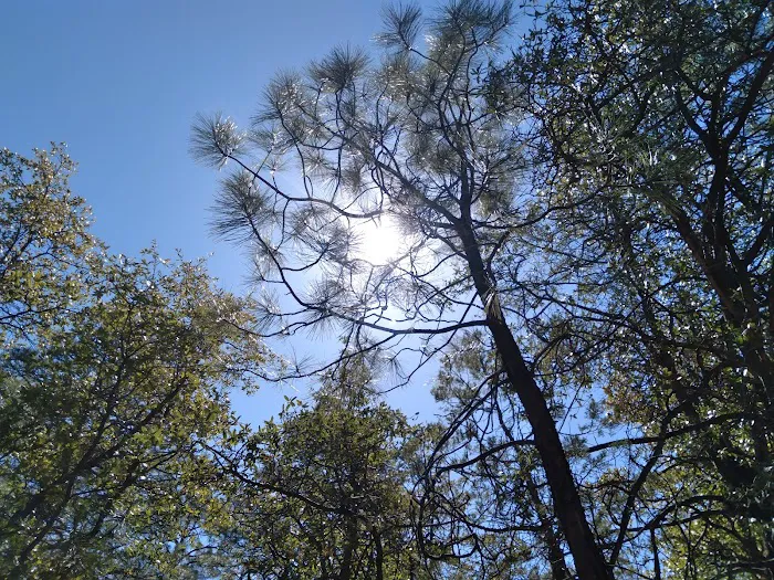 Sulphide Del Ray Campground 7