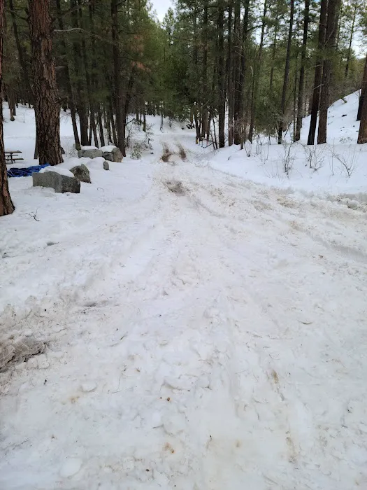 Sulphide Del Ray Campground 8