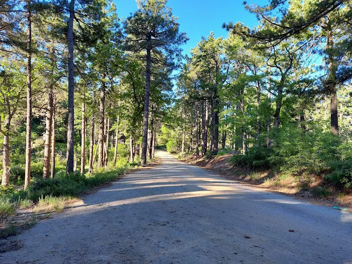 Pinal Campground 6