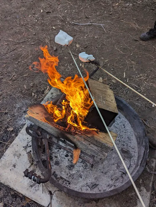 Pinal Campground 5